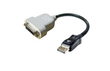 023NVR - Dell DP TO DVI (DISPLAY -Port - DVI) Cable ADAPT