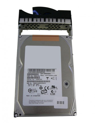 0B22156 - IBM Express 300GB 15000RPM Ultra-320 SCSI 3.5-inch Hot Swapable Hard Disk Drive