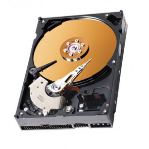 07N8450 - IBM 40GB 7200RPM ATA IDE 2MB Cache 3.5-inch Internal Hard Disk Drive