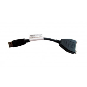 43N9160 - IBM DISPLAY-Port TO Single-LINK DVI-D MONITOR Cable