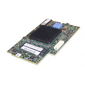 46C9241 - IBM Expansion Card LSI 1078 Stingray RAID Controller